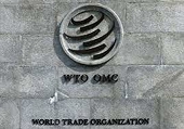 WTO panel rules against India in IT tariffs dispute with EU, others