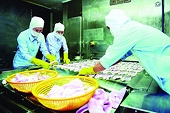 Seafood export enterprises accelerate but still face difficulties