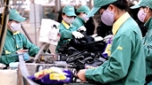 Statistics on anti-dumping cases against imports conducted by Vietnam up to 30 June 2021