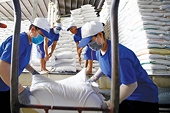 Statistics on anti-subsidy case against imports conducted by Vietnam up to 31 Dec 2021