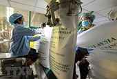 Vietnam’s rice exports surge on supply crunch