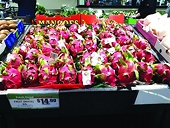 Exporting agricultural products to Australia: conquering the strict market