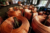 Decarbonisation is a trade imperative for Vietnam
