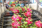 Agro-forestry-aquatic product exports reach 15.66 billion USD in four months