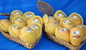 Vietnam ranks third in exporting mango to S Korea