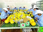 There are more opportunities for Vietnamese agricultural products to come to the UK