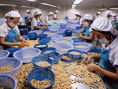 Vietnamese agricultural exports rebound