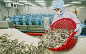 Vietnamese shrimp products hold highest market share in RoK
