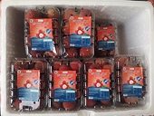 First batch of Vietnamese seedless lychees officially exported to UK