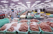 Seafood exports showing signs of recovery