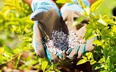 Export tariff on NPK fertilizer cut to 0%