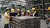 India and Middle East offer new opportunity for Vietnam’s timber exporters