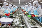 Vietnam-Israel FTA: Opening door for Vietnamese goods to penetrate Middle East market