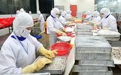 Agricultural product exports accelerated in 2nd half