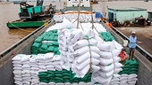 Opportunities and challenges for Vietnamese rice in current context