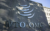 India: Govt rules out WTO dispute over IT curbs