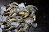 Vietnam’s fisheries ranked the third among CPTPP