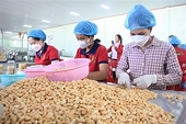 Firms urged to carefully study market, partners when exporting to Israel