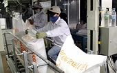 Vietnam: Imposing an anti-dumping tax on cane sugar of many Thai companies