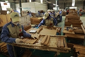 Furniture market to see increased competition