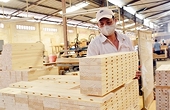 State removes difficulties to reach wood export target this year