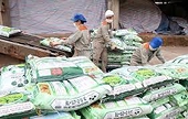 Australia issues final conclusion, determining no anti-dumping duty on ammonium nitrate products from Vietnam
