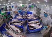 Hurdles remain in aquatic export: VASEP