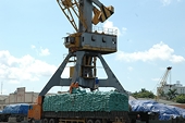 Promoting sustainable rice production and export