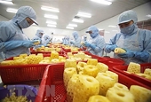 Measures sought to increase export competitiveness in agriculture