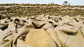 India wants WTO rules on foodgrain scrapped