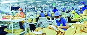 Increase competitiveness in the EU market through sustainable development