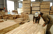 Early warning about 17 Vietnamese products under potential investigation by the United States for trade remedy measures, origin fraud, and unlawful transshipment in 2023