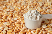 U.S. investigates China for pea protein dumping