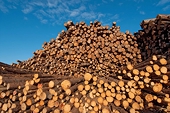 International Trade Commission rules in favor of antidumping and countervailing duty