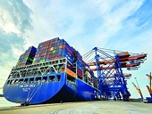 Bright signals from major export markets