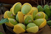 Agricultural products face a "golden" opportunity with the Chinese market
