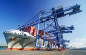 Export opportunities to be optimised in 2024: Minister