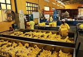 Mercantile Exchange of Vietnam to build specialised commodity trading floors