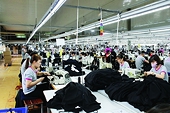 Vietnam fully taps CPTPP to push agro-forestry-fishery exports