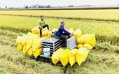 Philippines a market of potential for Vietnamese exports