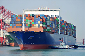 US advised to reduce trade curbs on China