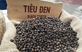 Pepper exports soar both in volume and value in January