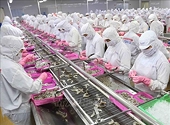 Agro-forestry-fishery trade surplus up nearly 2.9-fold