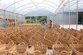 Việt Nam: top 10 developing economies in exporting creative products