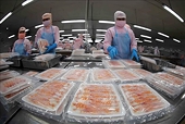 Aquatic product exports likely to hit $9.5 billion this year: VASEP