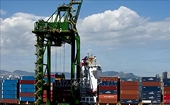 Brazil increases imports from Việt Nam
