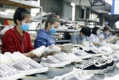 Việt Nam, New Zealand look to expand trade growth