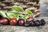 UK lifts tariff on California prune juice