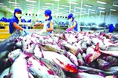 Proactive in trade defense to maintain export advantages