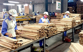 Vietnamese timber and wooden furniture exports to Canada surge